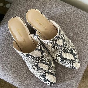 american rag snake skin mules
